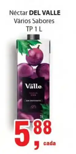 Nectar Del Valle Tp 1L