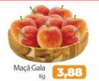 São Judas Tadeu Maca Gala 1kg oferta
