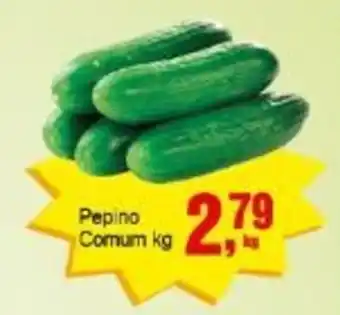 Negreiros Pepino Comum oferta