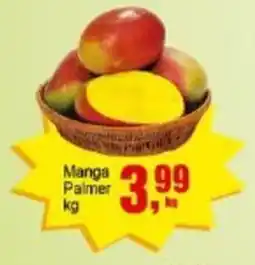 Negreiros Manga Palmer oferta