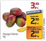 Tenda Atacado Manga palmer oferta