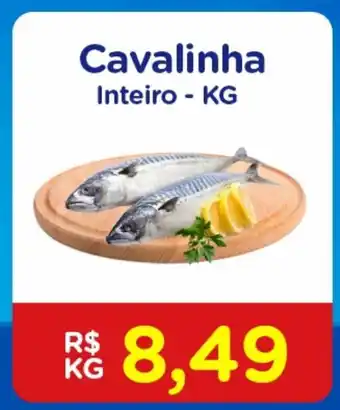 Cavalinha Inteiro 1kg
