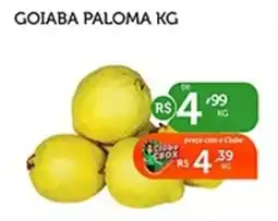 CenterBox Goiaba paloma oferta