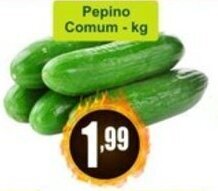 Pepino Comum 1kg