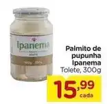 Carrefour Ipanema - palmito de pupunha oferta