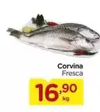 Carrefour Corvina oferta