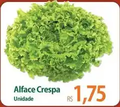 Atacadão Alface crespa oferta