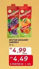 Assaí Atacadista Maguary - néctar oferta