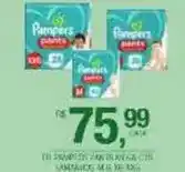 DB Supermercados Pampers - pants oferta