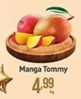 Rede Bom Lugar Manga Tommy oferta