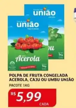 Polpa de fruta congelada acerola, caju ou umbu união