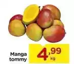 Carrefour Tommy - manga oferta