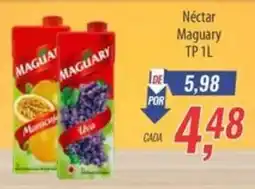 Supermercados BH Néctar Maguary TP oferta