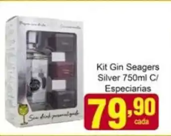 Rossi Supermercado Kit Gin Seagers Silver 750ml c/ Especiaries oferta