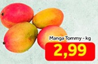 Manga Tommy 1kg