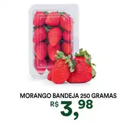 Supermercado Porecatu Morango bandeja oferta