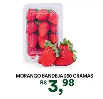 Supermercado Porecatu Morango bandeja oferta