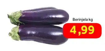 Shibata Supermercados Berinjela oferta