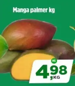 Sj Supermercados Manga palmer oferta