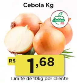 Rede Vivo Cebola oferta