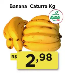 Rede Vivo Banana Caturra oferta