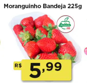 Rede Vivo Moranguinho Bandeja oferta