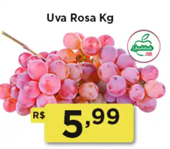 Rede Vivo Uva Rosa oferta