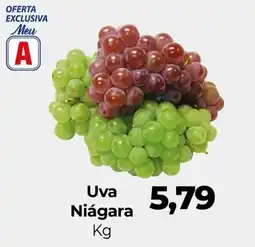 Supermercados Andreazza Uva Niágara oferta