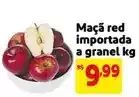 Mercado Extra Red - maçã red importada a granel oferta