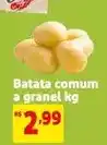 Extra A granel - batata comum oferta