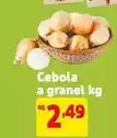 Extra Cebola - cebola a granel oferta