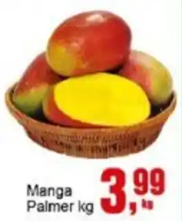 Negreiros Manga Palmer oferta