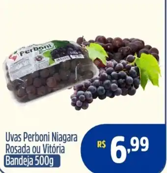 Quartetto Supermercados Uvas Perboni Niagara Rosada ou Vitória Bandeja oferta