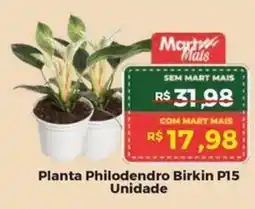 Mart Minas Planta Philodendro Birkin P15 Unidade oferta