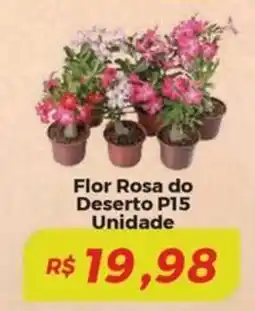 Mart Minas Flor Rosa do Deserto P15 Unidade oferta