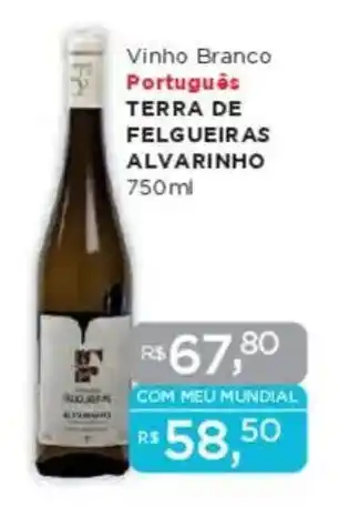 Supermercados Mundial Vinho Branco Português TERRA DE FELGUEIRAS ALVARINHO oferta