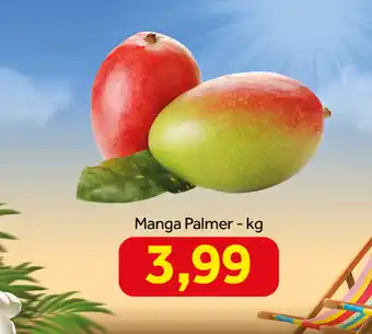 Shibata Supermercados Manga Palmer oferta