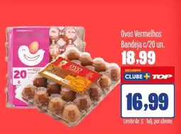 Rede Top Ovos Vermelhos Bandeja oferta