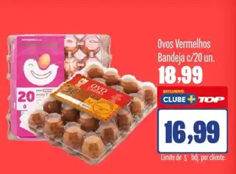 Rede Top Ovos Vermelhos Bandeja oferta