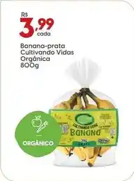 Supper Rissul Banana-prata cultivando vidas orgânica oferta