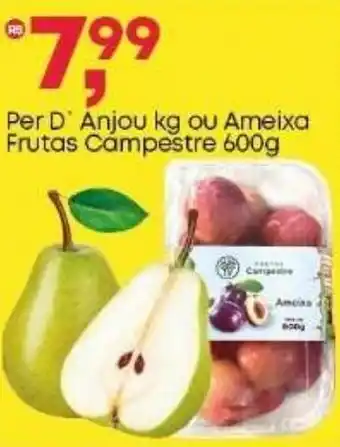 Frangolândia Per D' Anjou kg ou Ameixa Frutas Campestre oferta