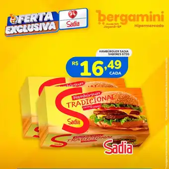 Supermercado Bergamini Hamburguer sadia sabores oferta