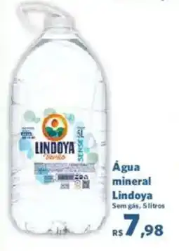 Sam's Club Água mineral Lindoya oferta