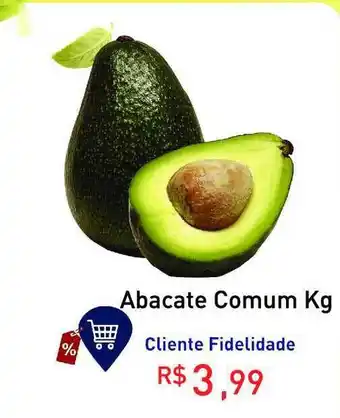 Tonin Superatacado Abacate Comum 1kg oferta