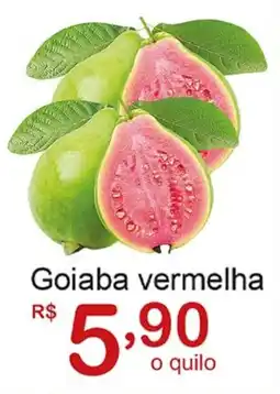 Giga Atacado Goiaba vermelha oferta