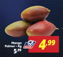 Supermercado Paraná Manga Palmer oferta