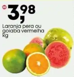 Frangolândia Laranja pera ou goiaba vermelha oferta