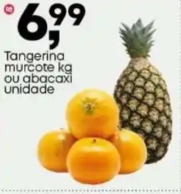 Frangolândia Tangerina murcote kg ou abacaxi unidade oferta