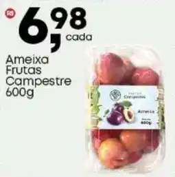 Frangolândia Ameixa Frutas Campestre oferta