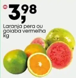 Frangolândia Laranja pera ou goiaba vermelha oferta